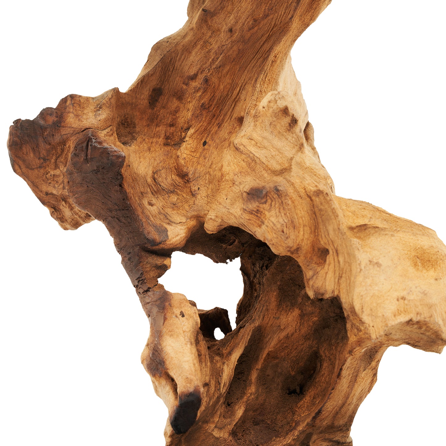 Palmero Radice Table Lamp