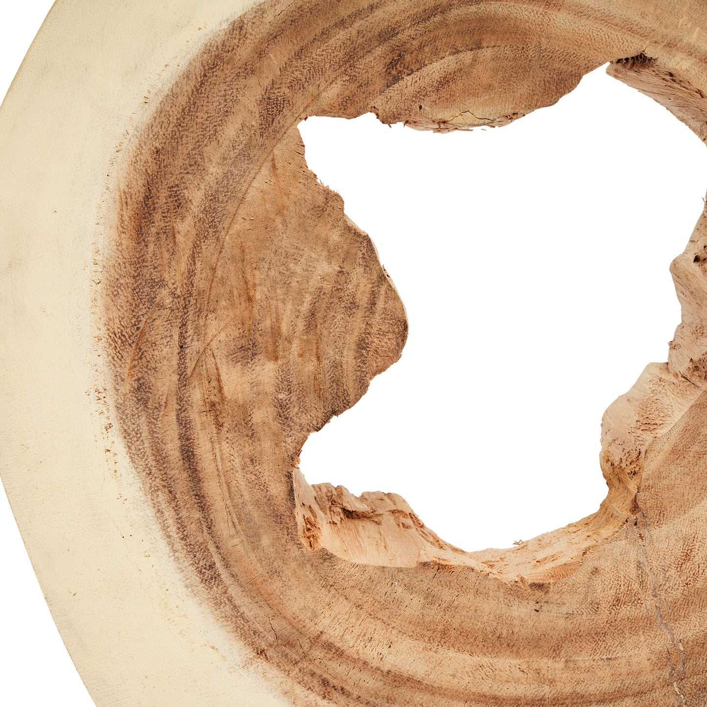 Palmero Arboré Table Lamp
