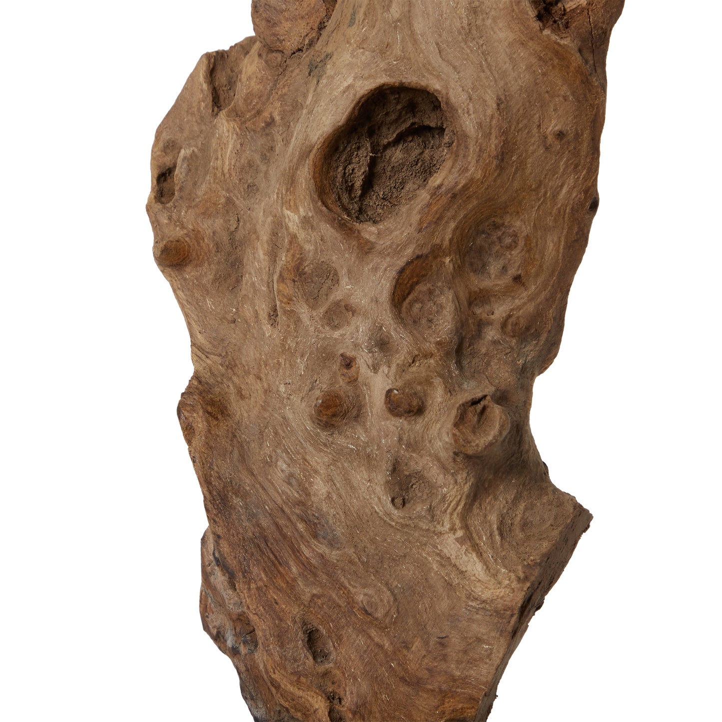 Sereno Portable Lamp in Black