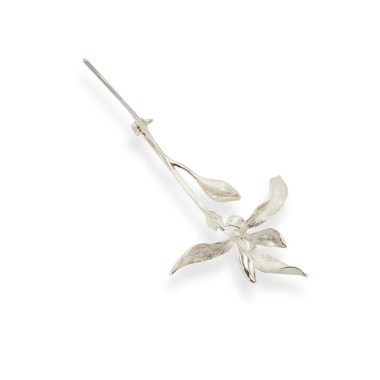 Palmero Arboreal Leaf Brooch